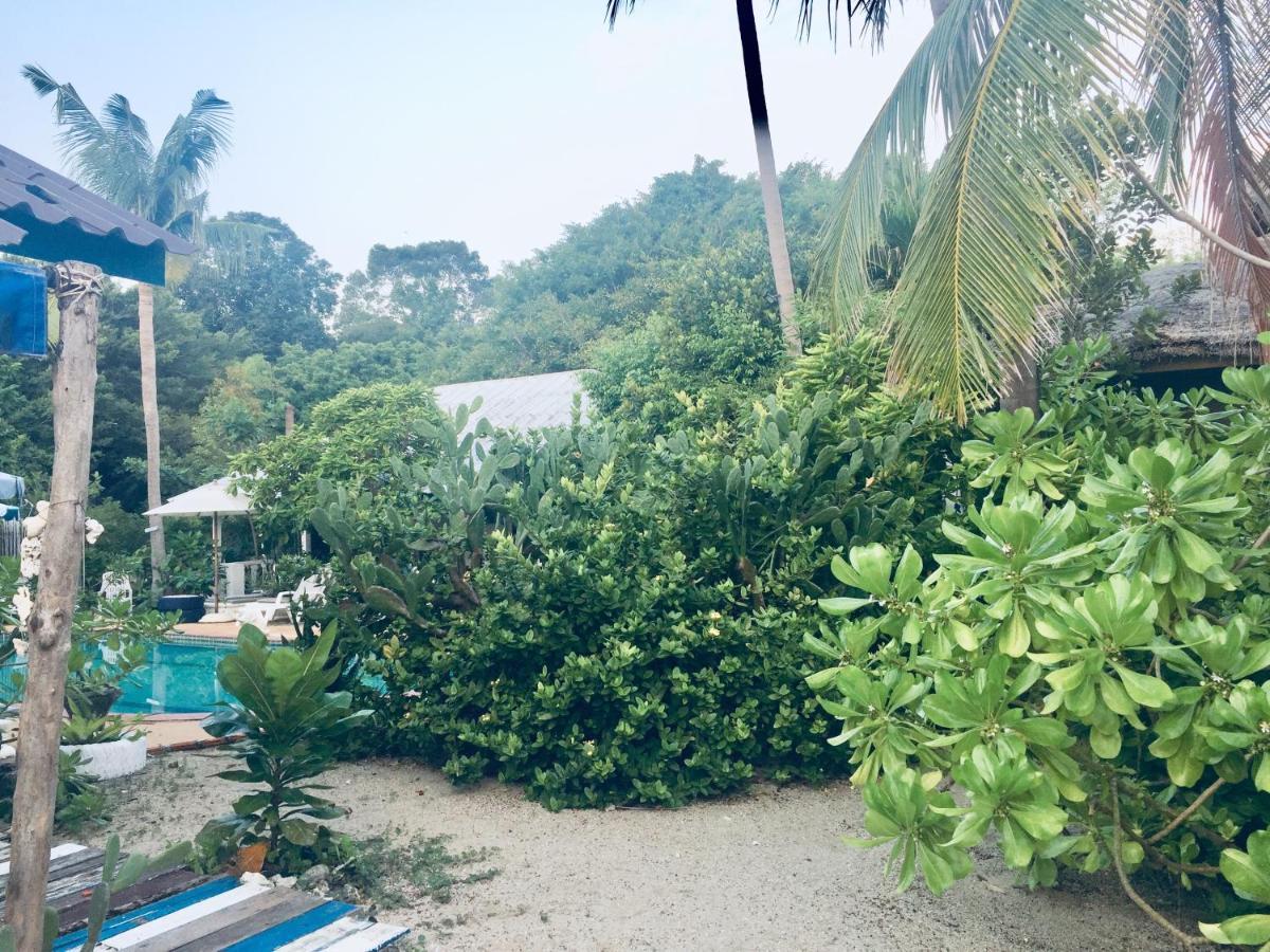 Lamai Chalet Amphoe Koksamui Екстер'єр фото